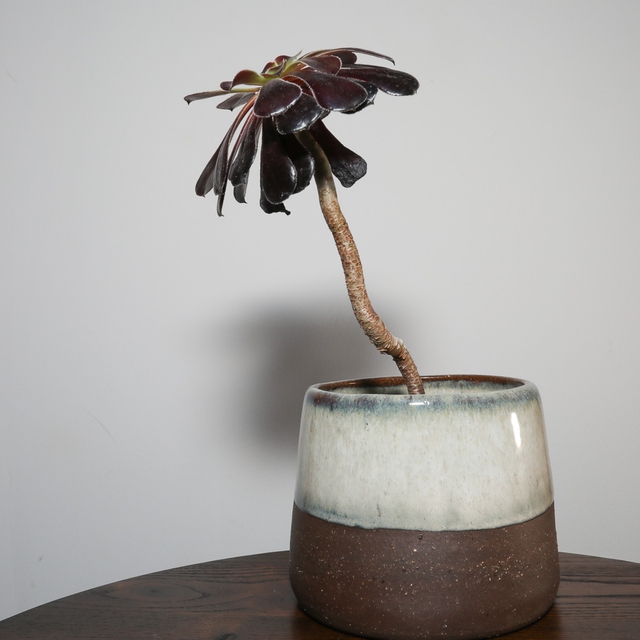 Vulcan clay cylinder with peach glaze